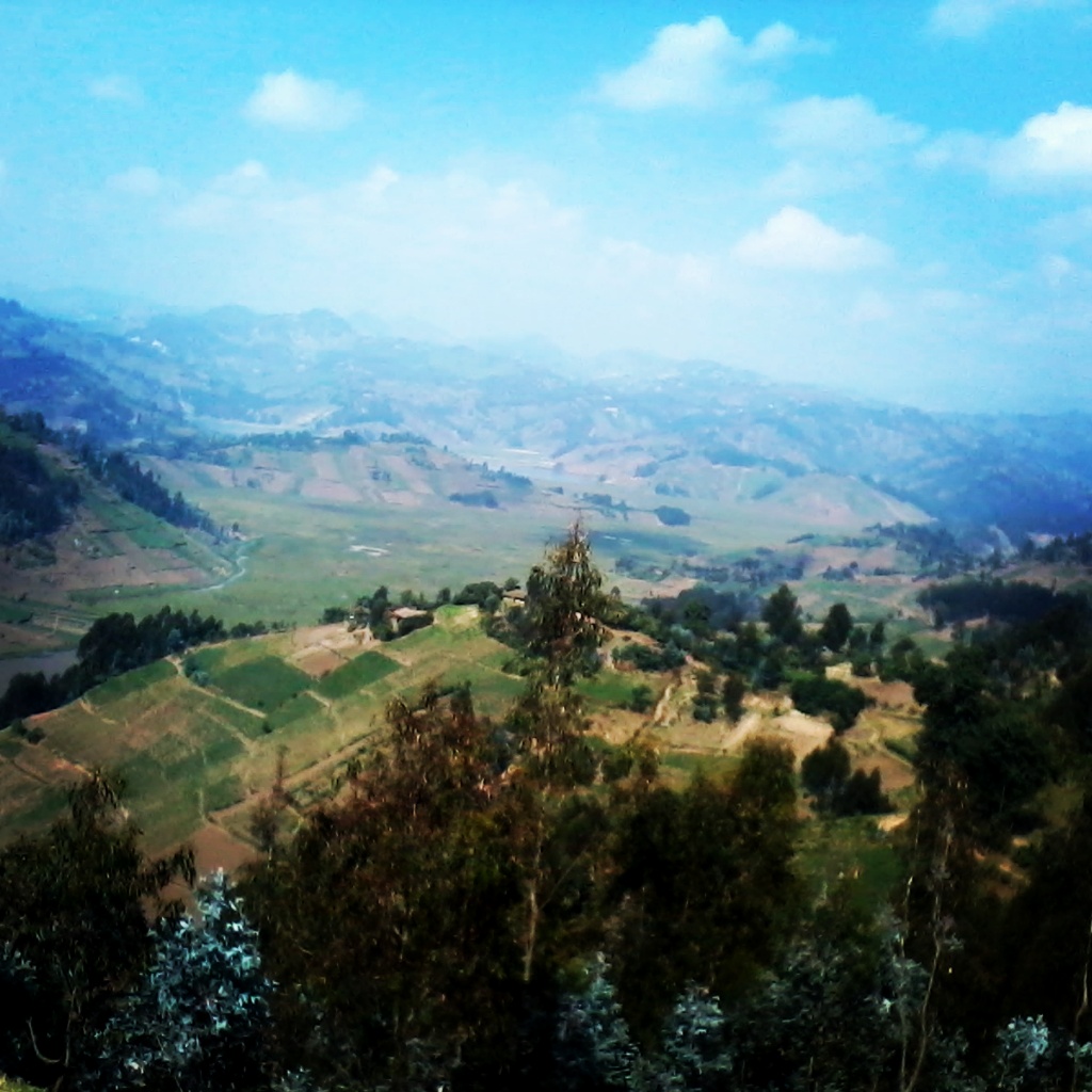 Rwandan Vistas